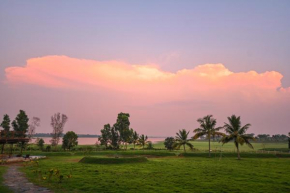 Fireflies Kabini